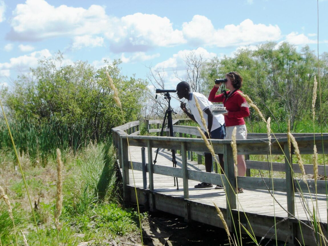 Two visitors use telescopes and binoculars to observe birds from a boardwalk at Oak Hammock Marsh