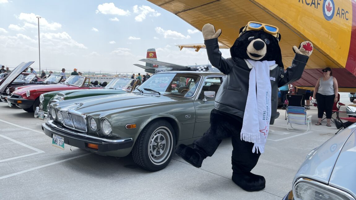 A mascot bear in a pilot's uniform poses next to classic cars at the Royal Aviation Museum's Wings & Wheels event